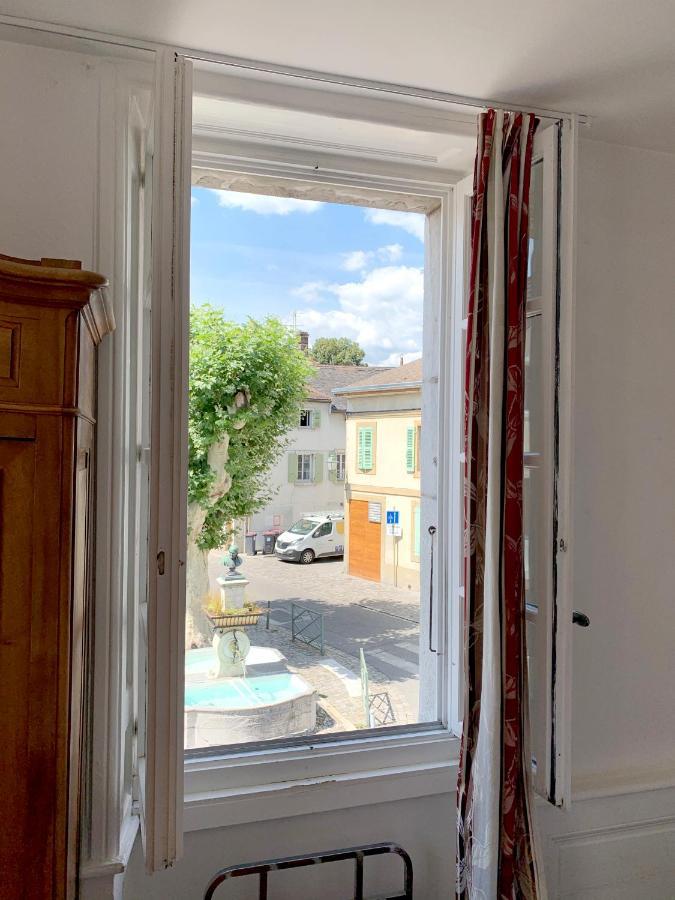 Hotel De France Ferney-Voltaire Esterno foto